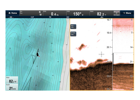RAYMARINE Downvision Sonar Module CP100 E70204 от прозводителя Raymarine