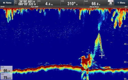 Raymarine CP470 E70298 от прозводителя Raymarine