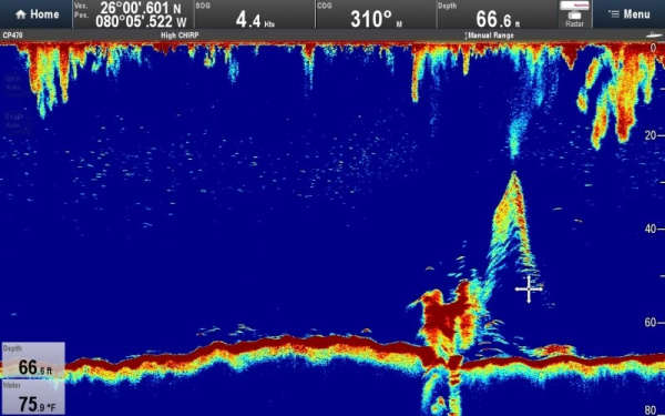 Raymarine CP470 E70298 от прозводителя Raymarine