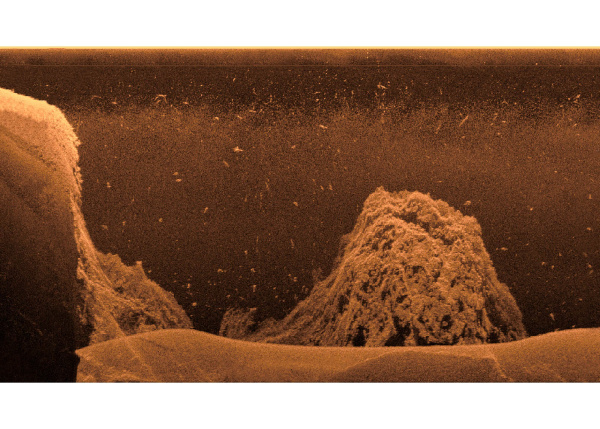 Garmin GCV20 Sonar Black Box c GT34UHD-TM 010-02055-00 от прозводителя Garmin