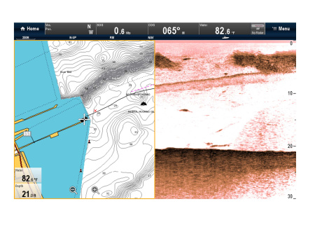RAYMARINE Downvision Sonar Module CP100 E70204 от прозводителя Raymarine