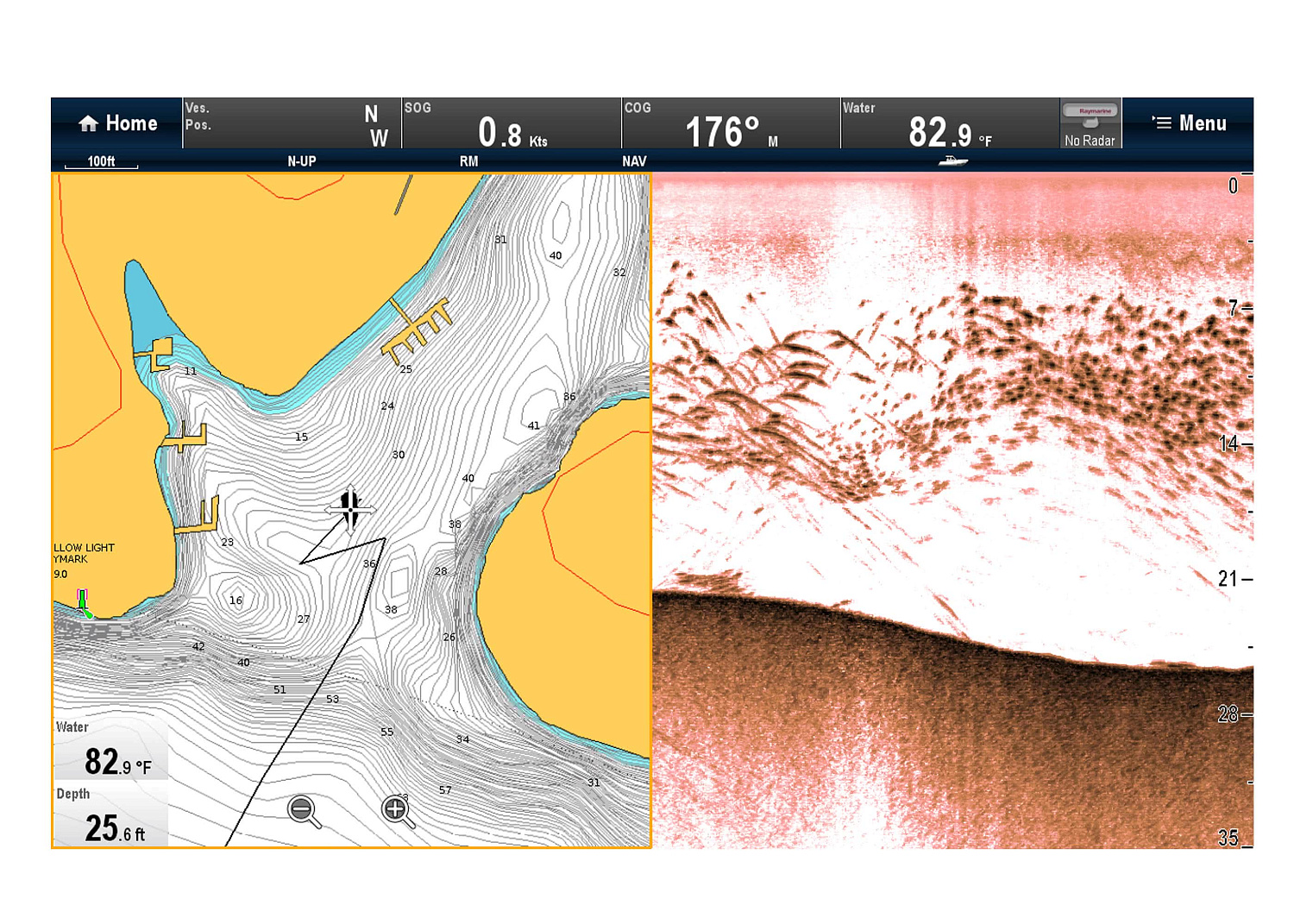 RAYMARINE Downvision Sonar Module CP100