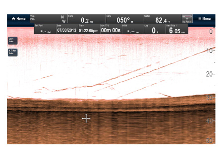 RAYMARINE Downvision Sonar Module CP100 E70204 от прозводителя Raymarine
