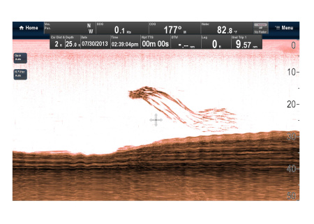 RAYMARINE Downvision Sonar Module CP100 E70204 от прозводителя Raymarine