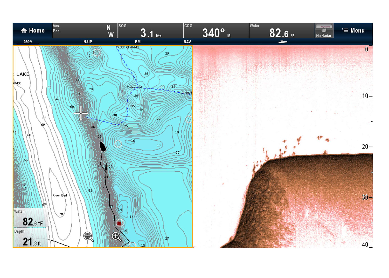 RAYMARINE Downvision Sonar Module CP100