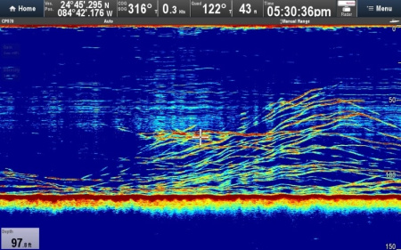 Raymarine CP570 E70258 от прозводителя Raymarine