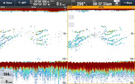 Raymarine CP570 E70258 от прозводителя Raymarine