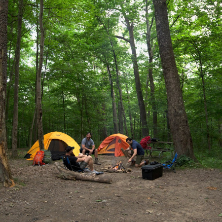 Прибор противомоскитный флагман Thermacell MR-450 Repeller MR 450X от прозводителя Thermacell