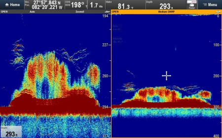 Raymarine CP570 E70258 от прозводителя Raymarine
